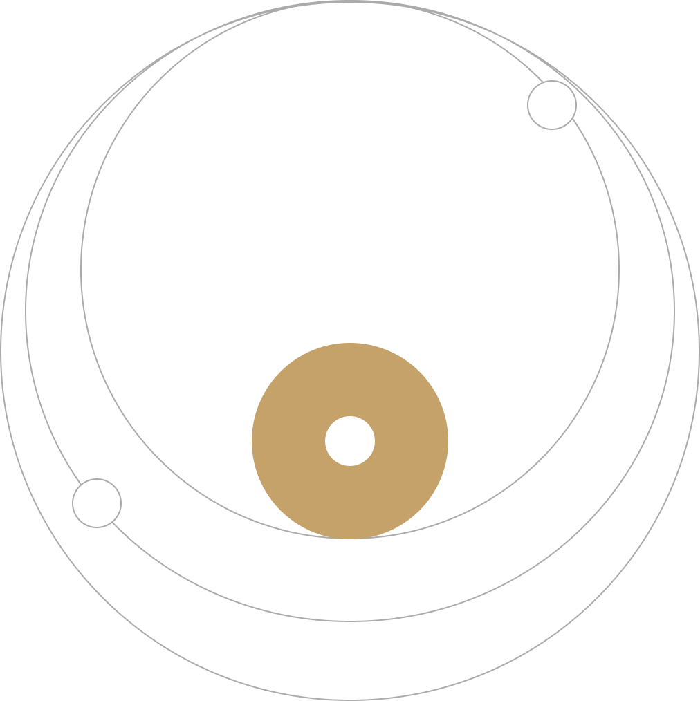 Diagram showing the relationship between board oversight and executive authority in Australian governance